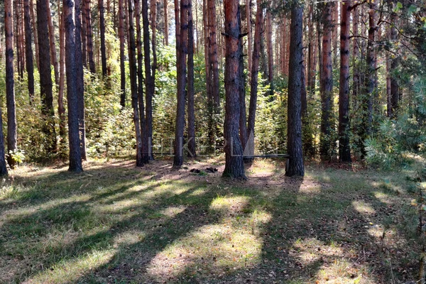 Фото маршрута