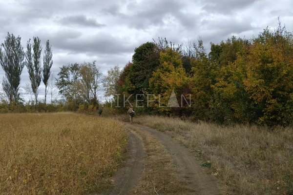 Фото маршрута