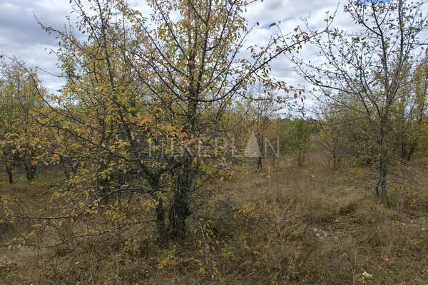 Фото маршрута