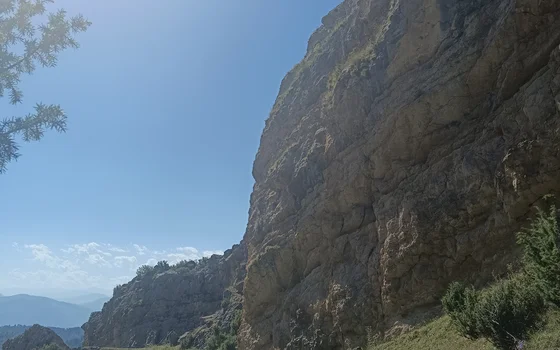 ЦартТонн
