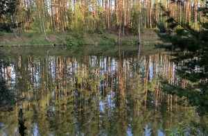 IMG_0263.jpeg