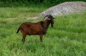 IMGP9922.jpg