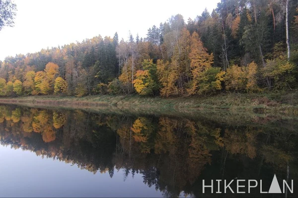 IMG_20241030_113834_385.jpg